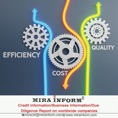 MIRA INFORM REPORT.